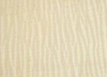 Native Rippled Sycamore